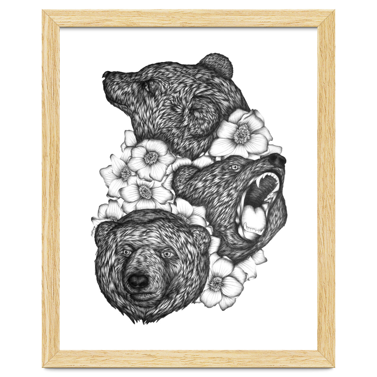 Bears In Bears
