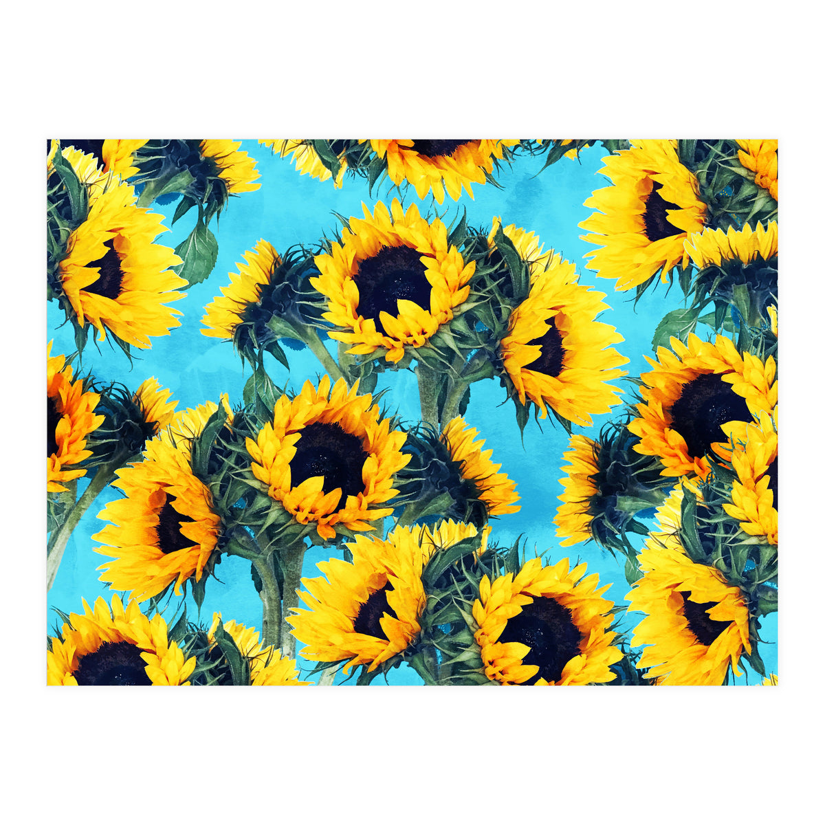 Sunflowers & Sky (Print Only)