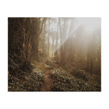 Mt. Davidson II (Print Only) thumbnail