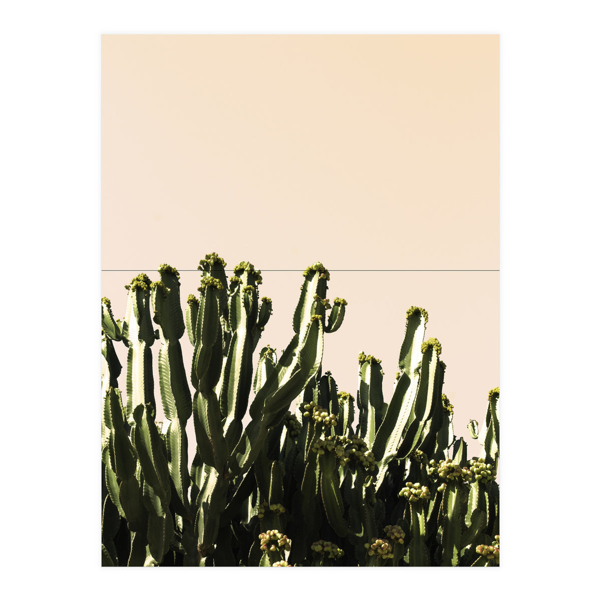 Cactus Vertical Color (Print Only)