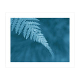 Pteridopsida 1 (Print Only) thumbnail