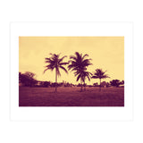 Palm Trees (Print Only) thumbnail