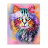 Rainbow Cat (Print Only) thumbnail