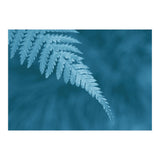 Pteridopsida 1 (Print Only) thumbnail