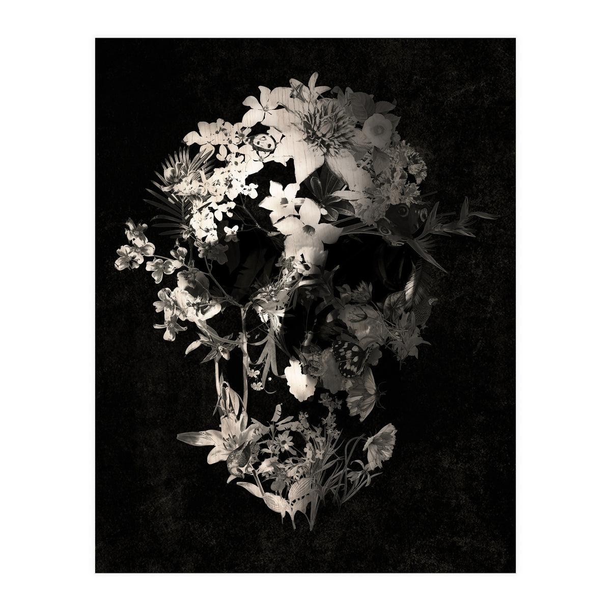 Spring Skull  (Print Only)