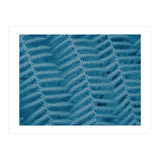 Pteridopsida 3 (Print Only) thumbnail
