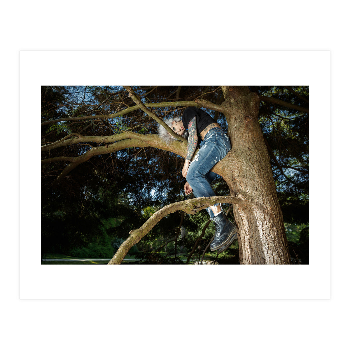 Tree Climber (Print Only)