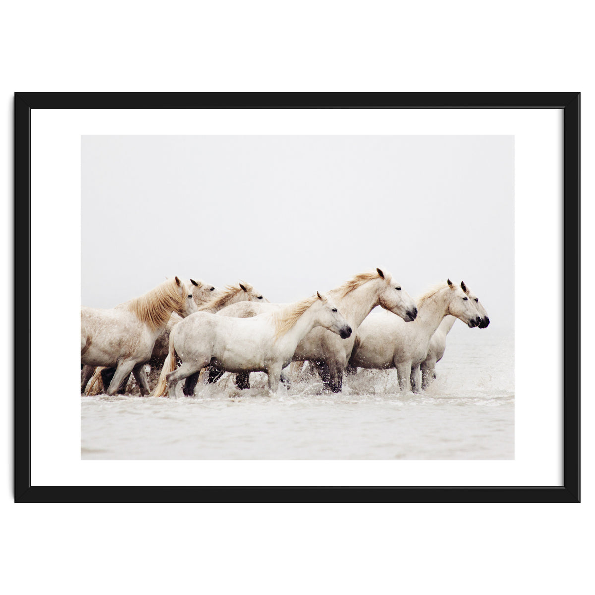 White Horses - Nature Photography