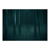transience  (Print Only) thumbnail