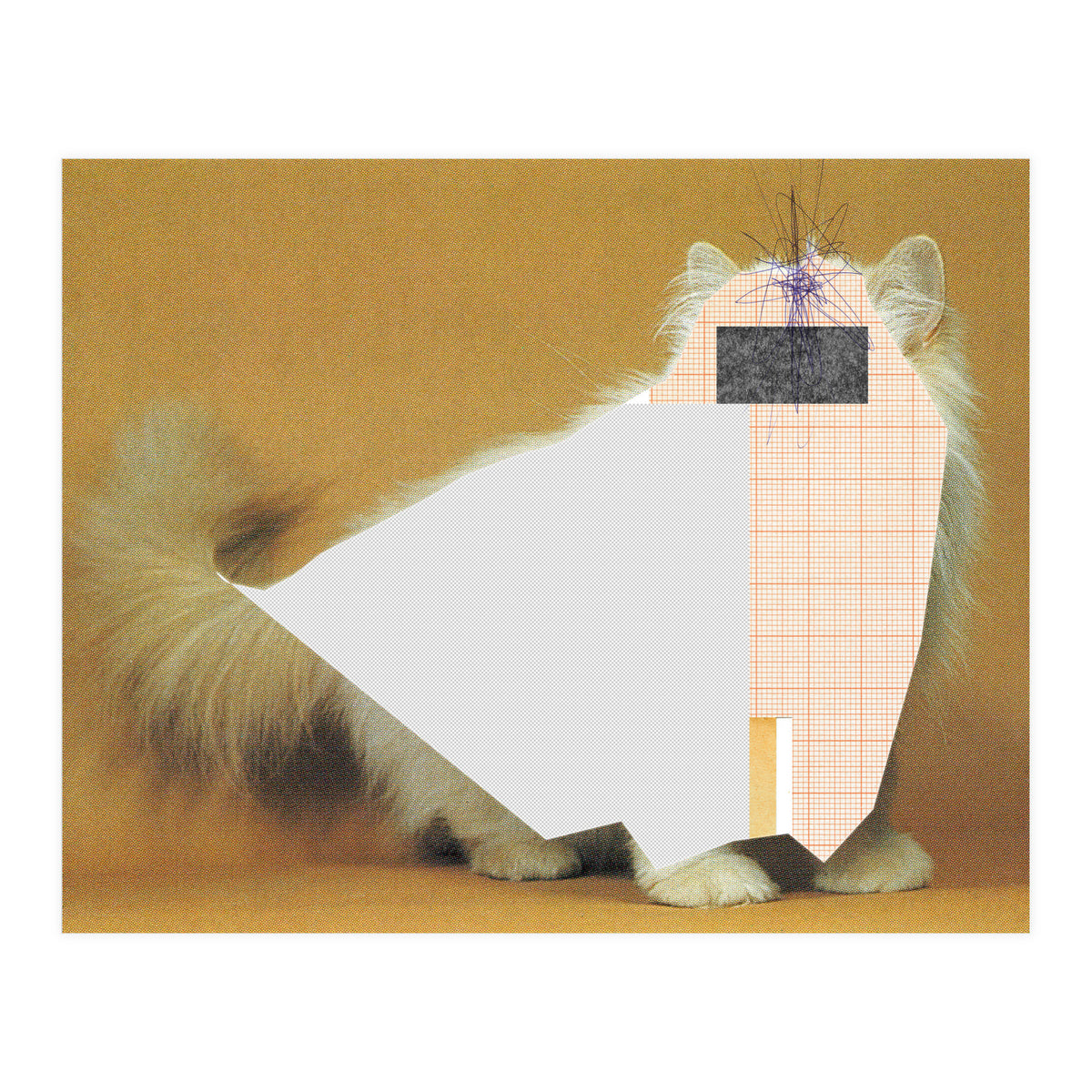 Content Of The Cat 1 (Print Only)