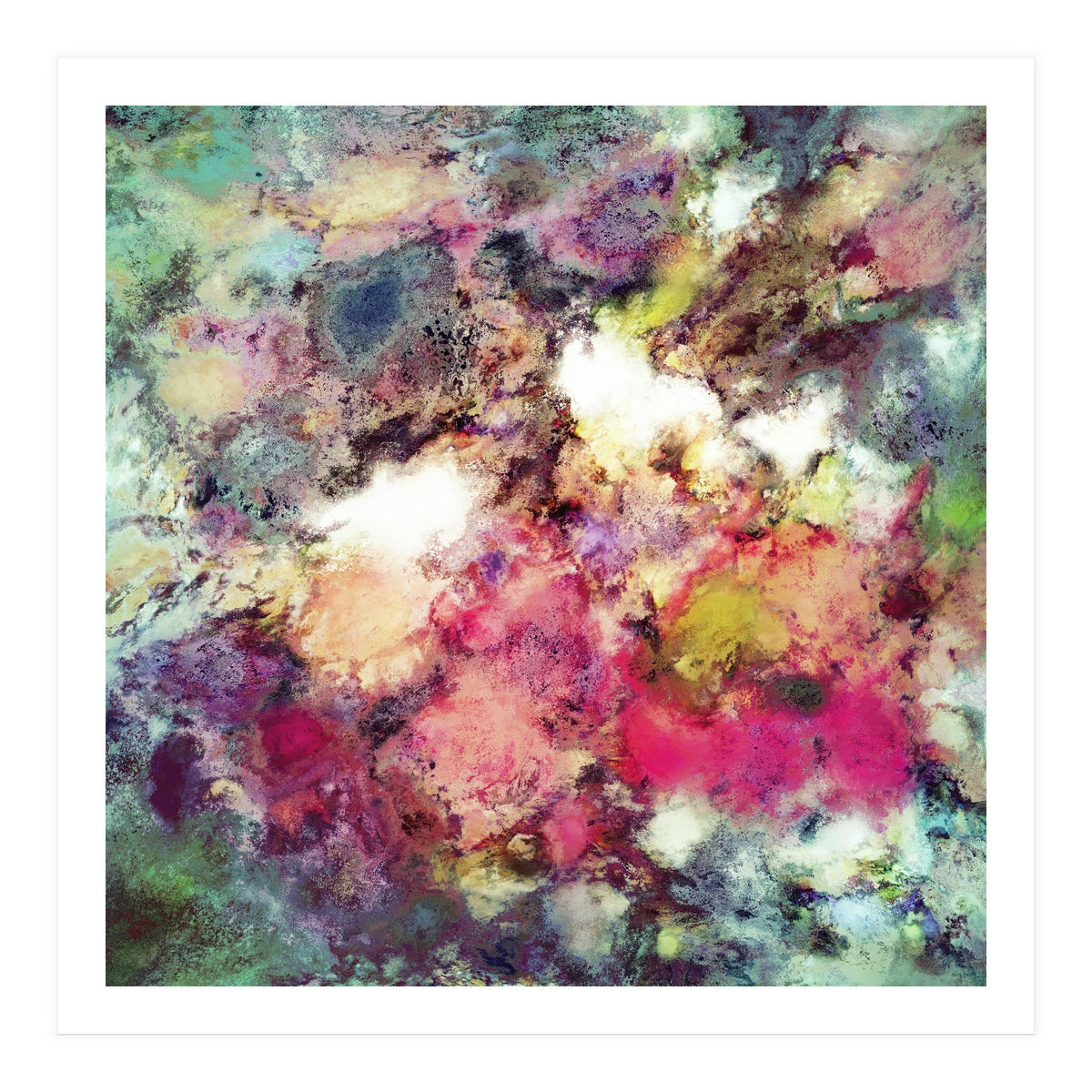 Raspberry Rocks (Print Only)