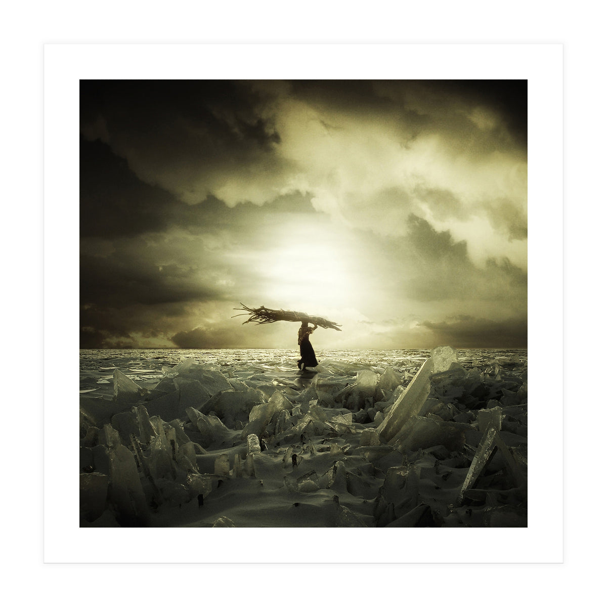 Frozen Nation (Print Only)