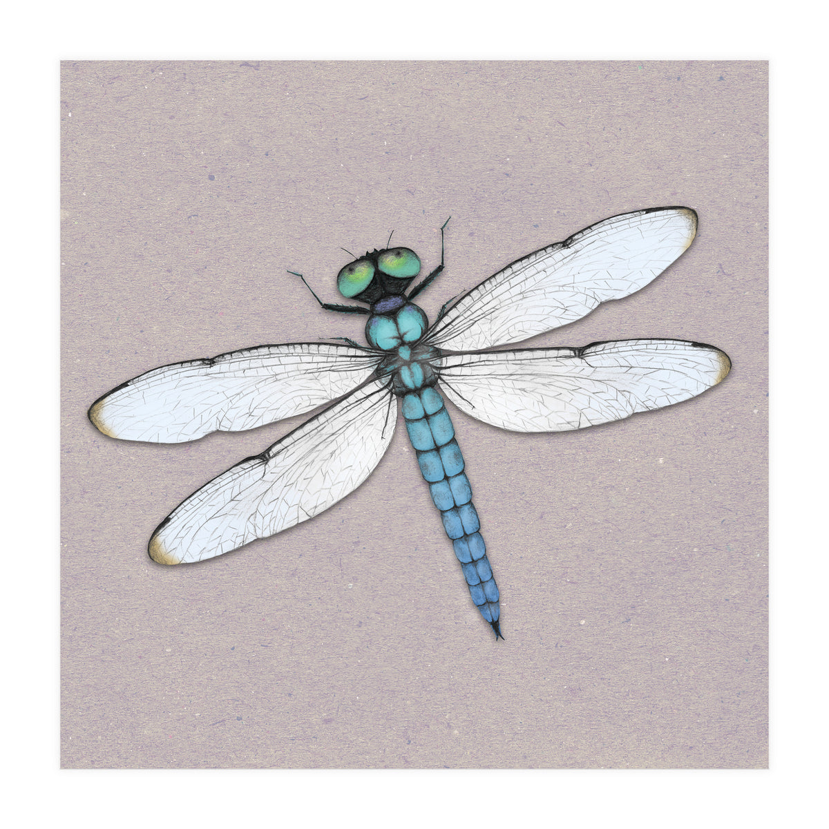 Blue dragonfly (Print Only)