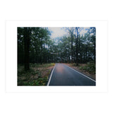 In To The Wild (Print Only) thumbnail