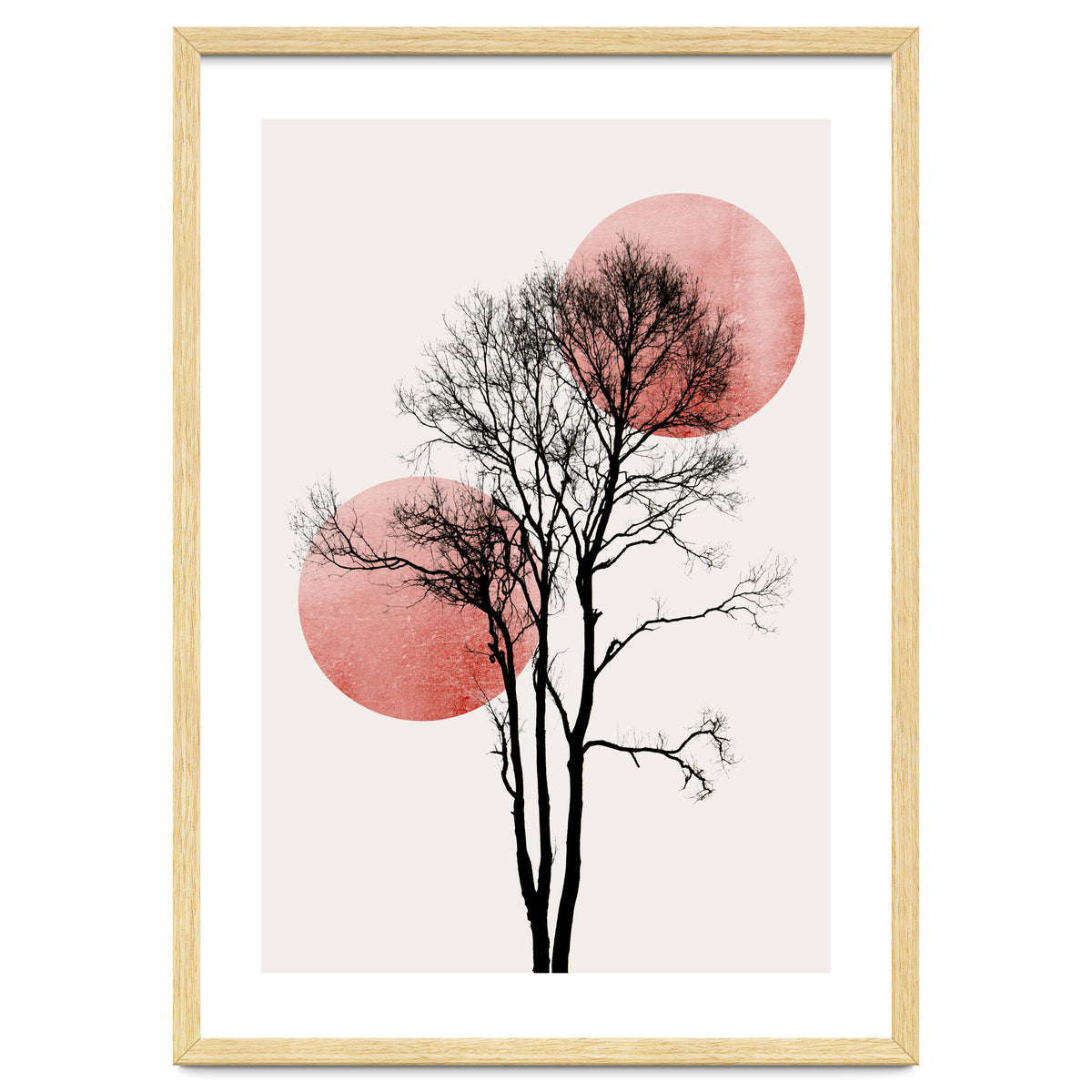 Sun And Moon Hiding Rosè