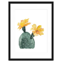 Botanical Illustration Yellow Cactus Flowers
