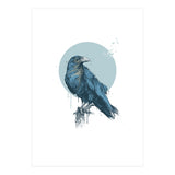 Blue Crow (Print Only) thumbnail