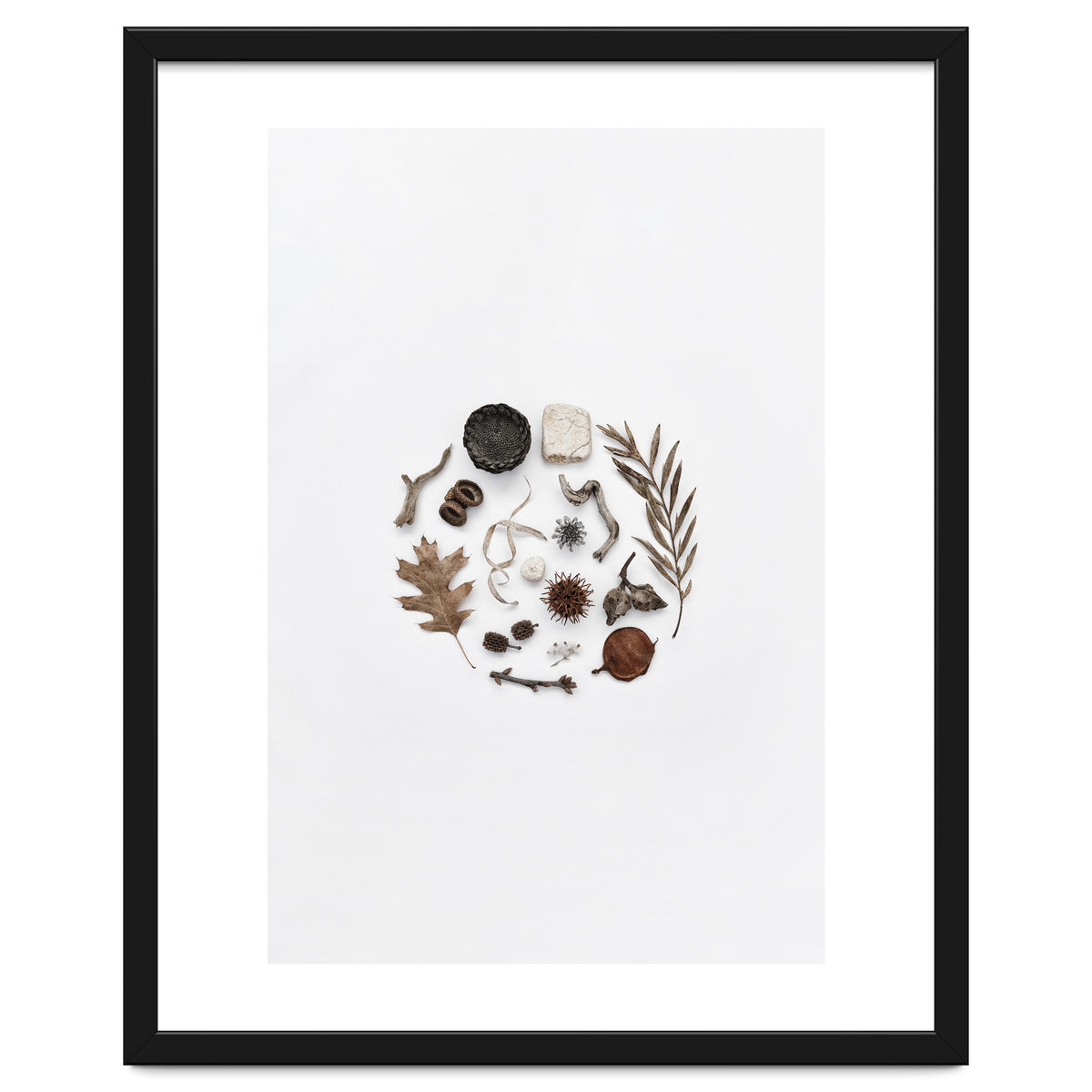 Treasures From Nature No. 2