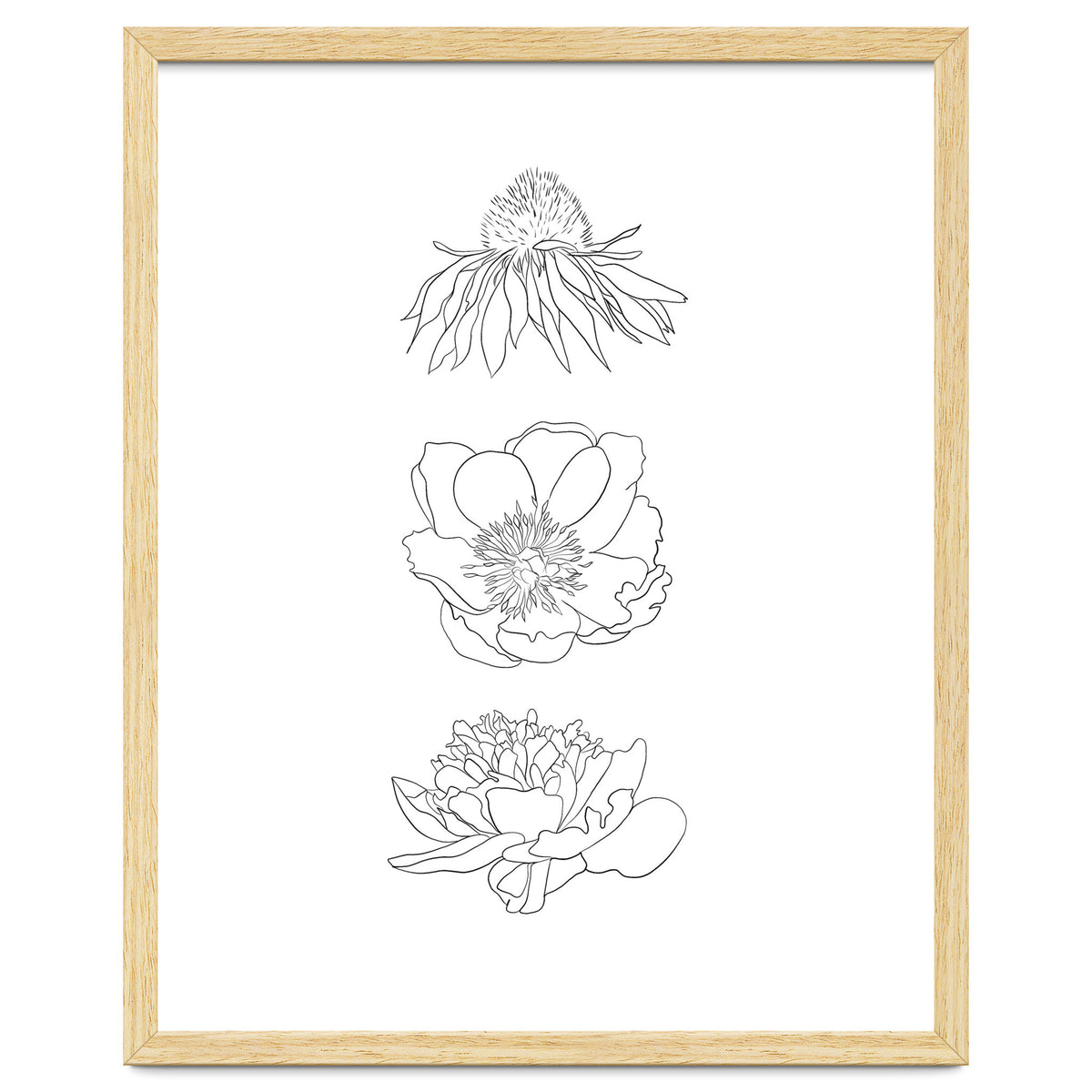 Hand Drawn Flowers