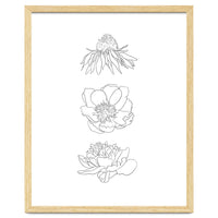 Hand Drawn Flowers