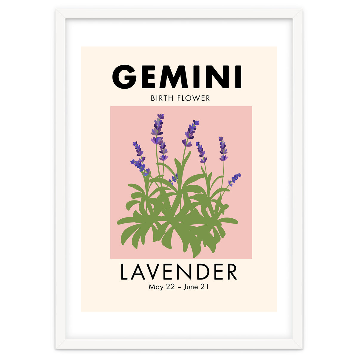 Gemini Birth Flower Lavender
