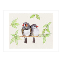 Sweet couple of zebra finches (Print Only)