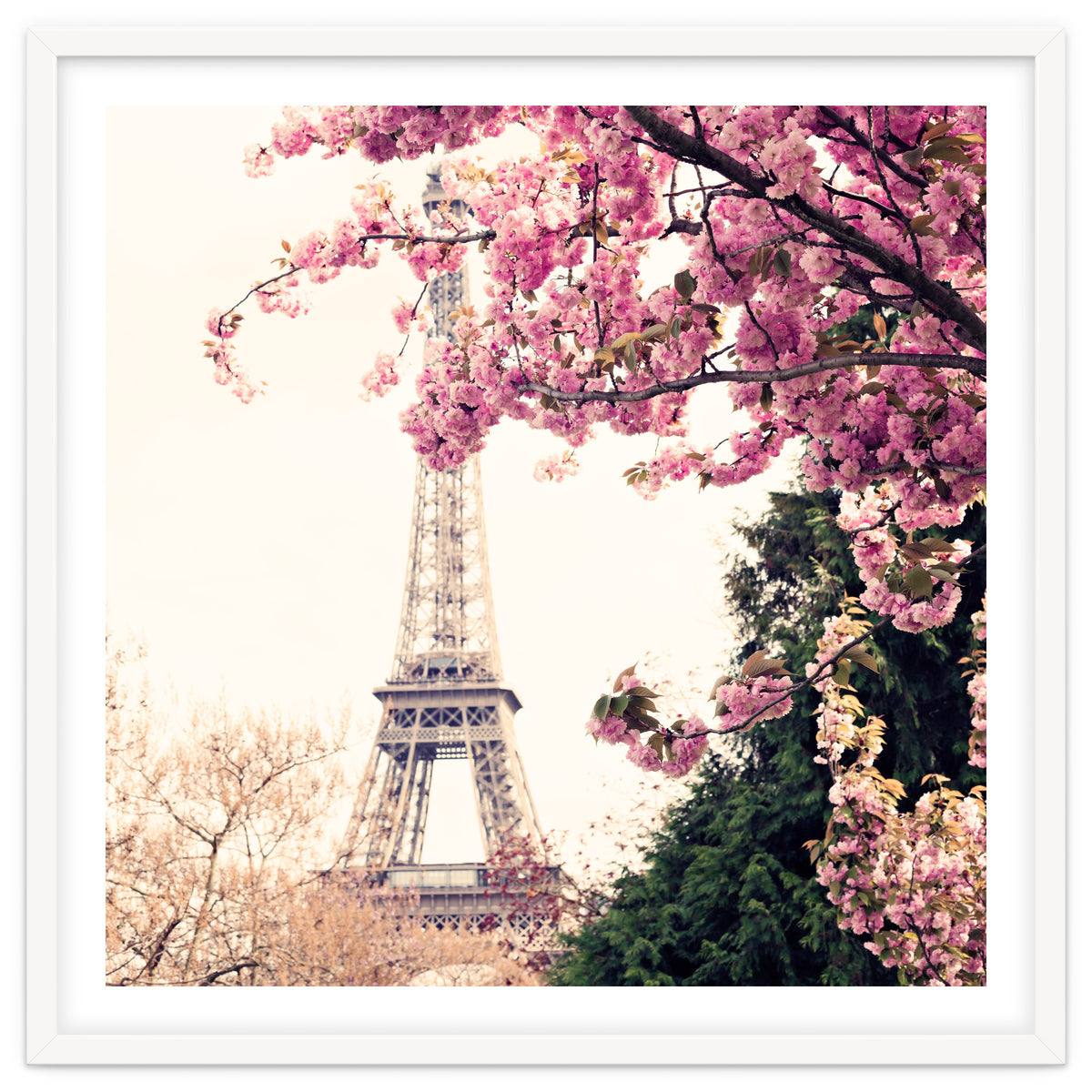 Paris in the Spring