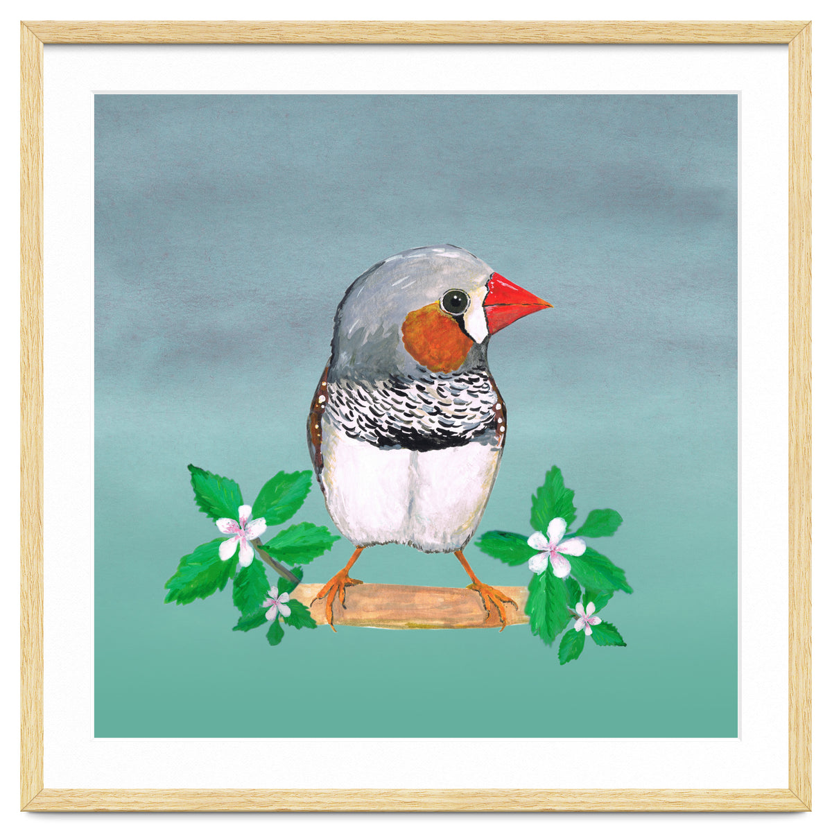 Zebra finch