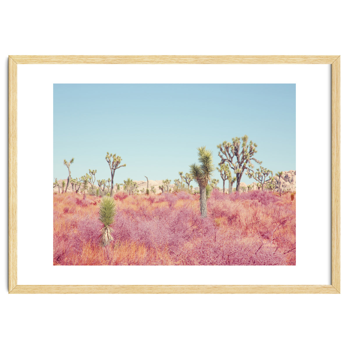 Surreal Desert