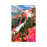 Valley of Pink Trees | Fantasy Pop of Color Forest Nature | Jungle Adventure Road Trip Pine (Print Only) thumbnail