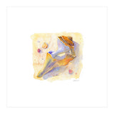 Old Shell (Print Only) thumbnail