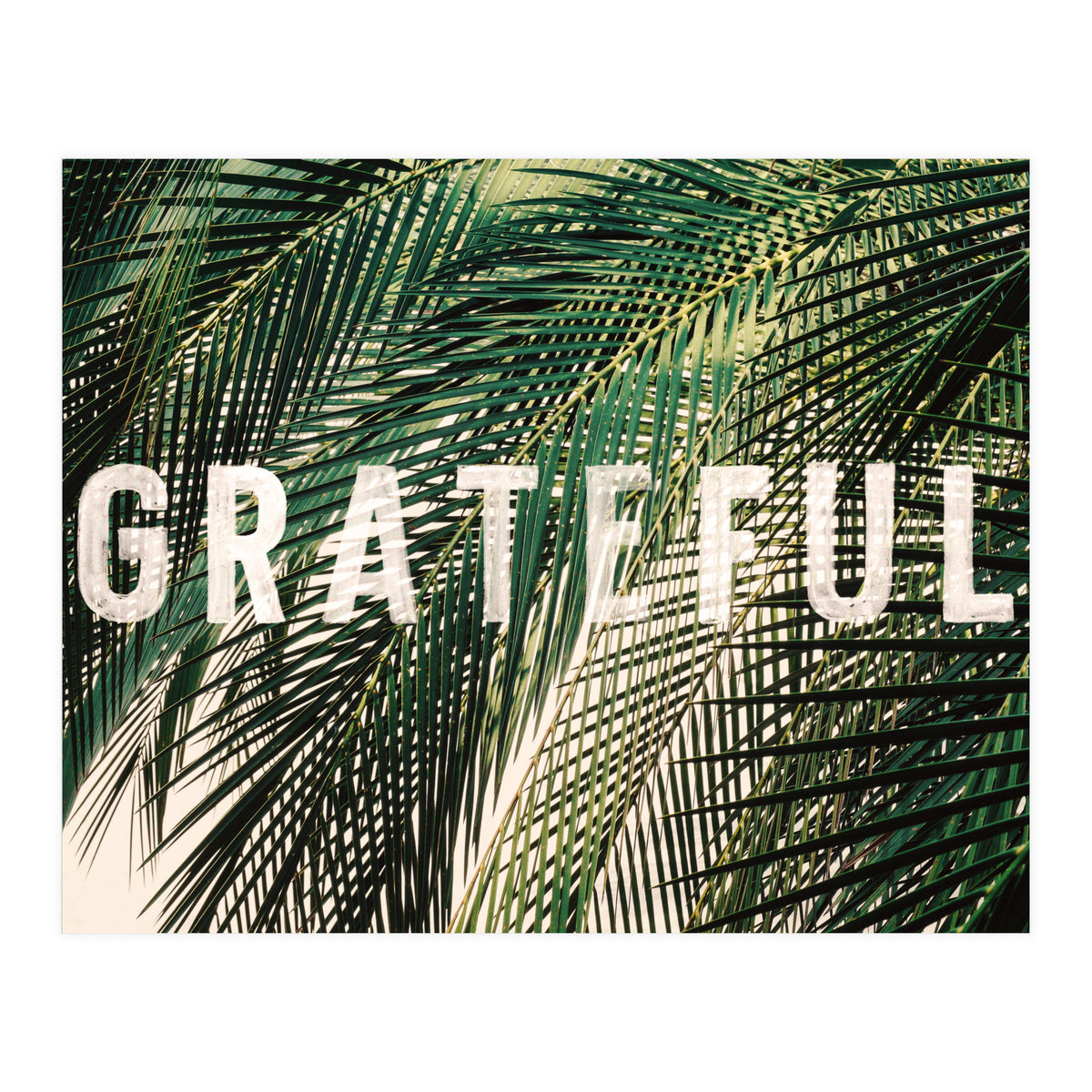 Grateful  (Print Only)