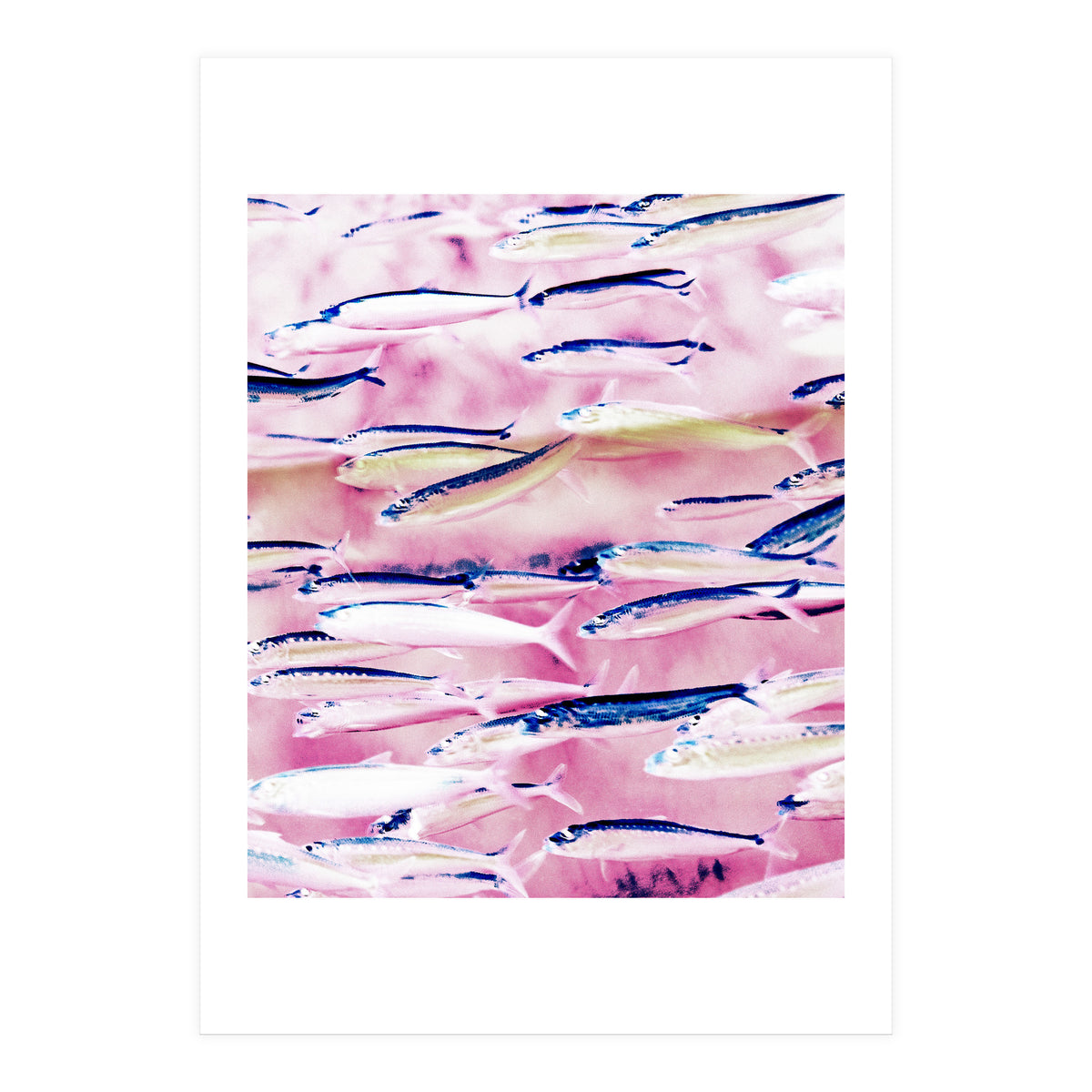 Marked Coast (Print Only)