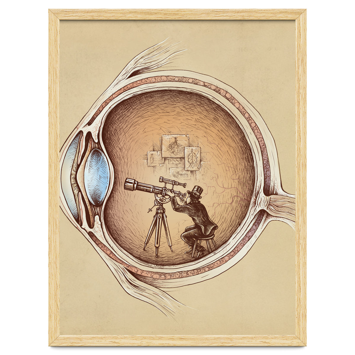 Extraordinary Observer