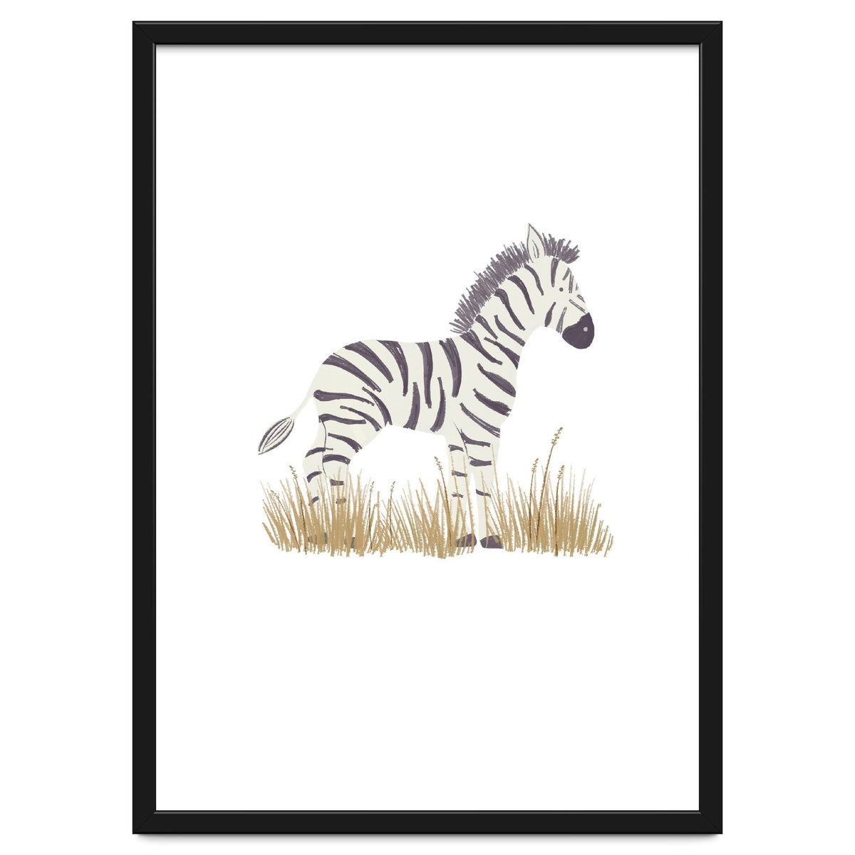 Zebra