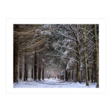 Dog Walkers in the Snow.  Heath Warren - Hampshire (Print Only) thumbnail