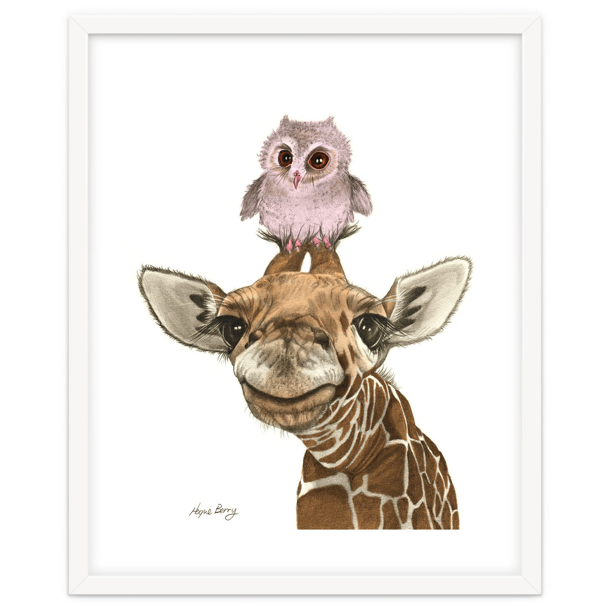 Giraffe and Owl