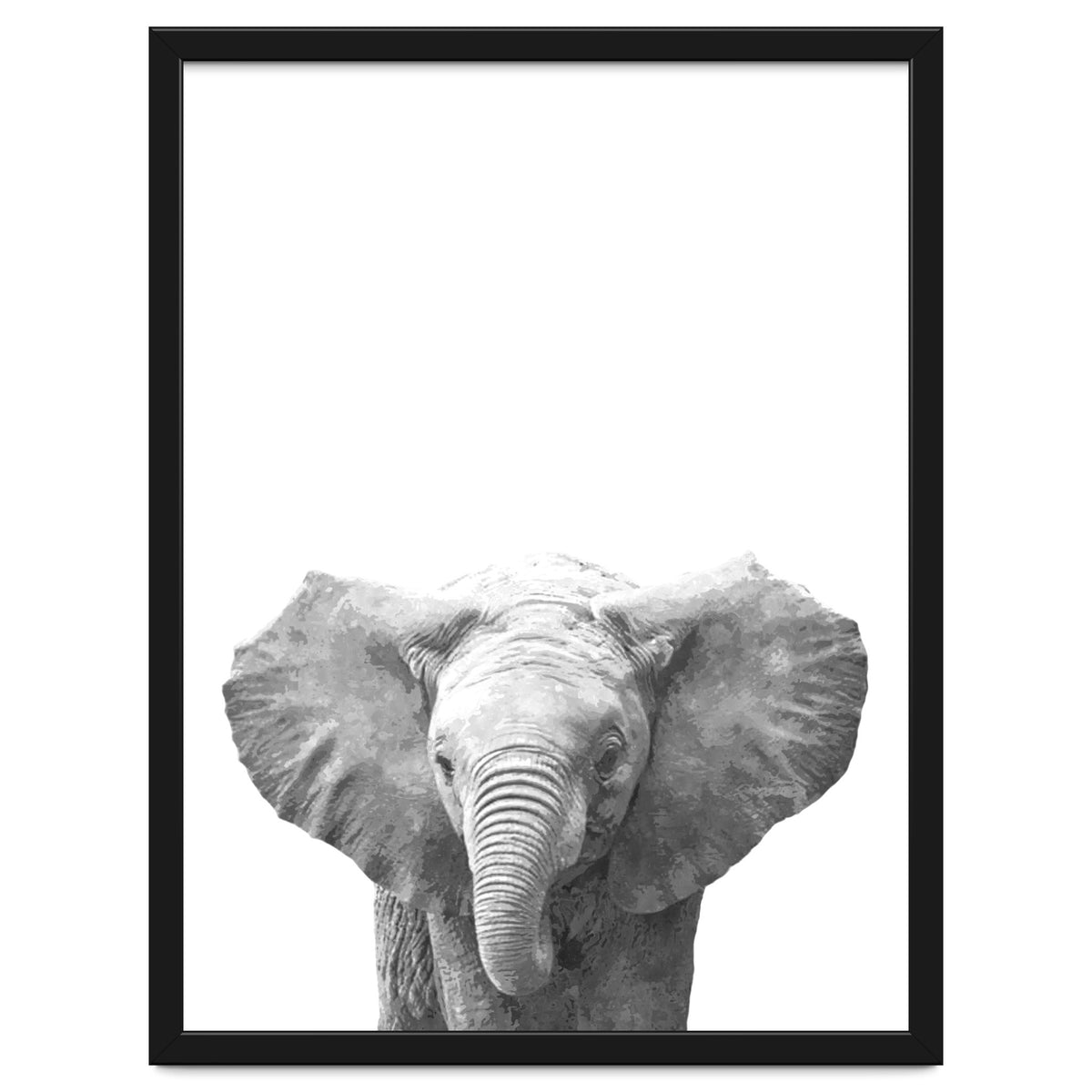 Black and White Baby Elephant