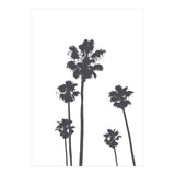 Palms & Sunset-Minimal B&W 2 (Print Only) thumbnail