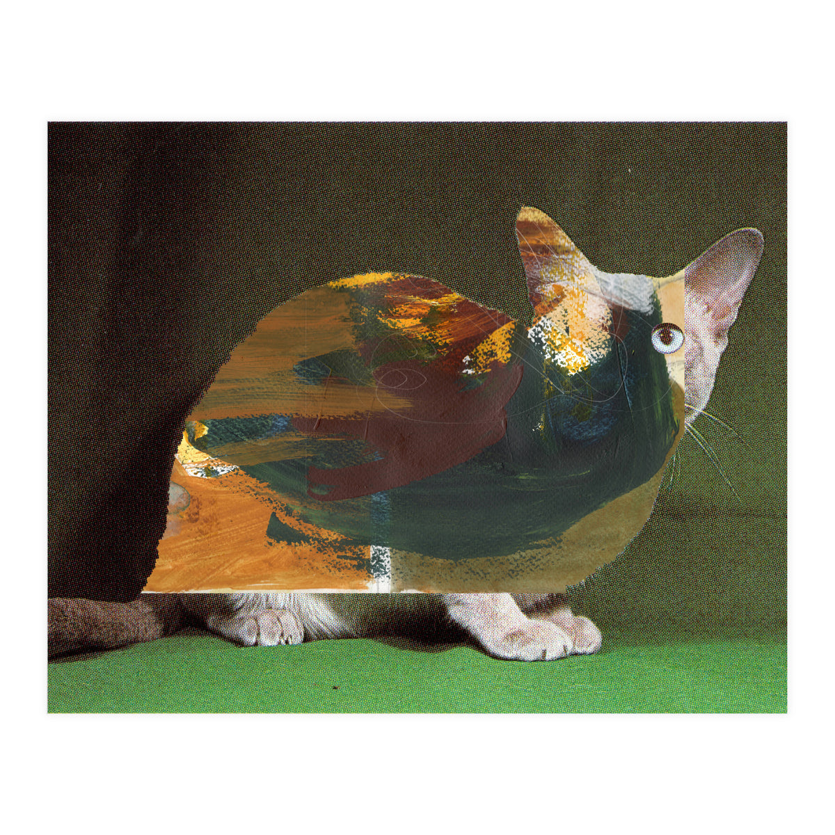 Color Cat (Print Only)