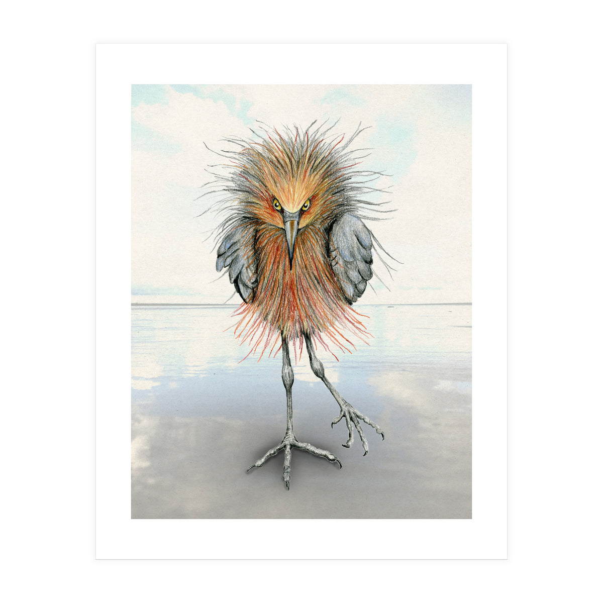 Reddish Egret (Print Only)