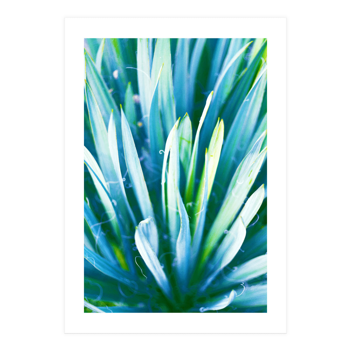 Heart Of Nature (Print Only)