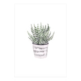 Potted Plant (Print Only) thumbnail
