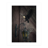 Lumieres (Print Only) thumbnail