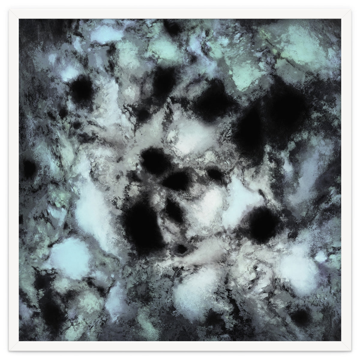 Searching For Animal Tracks