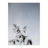 Forgotten Memories of Summer #17 (Print Only) thumbnail