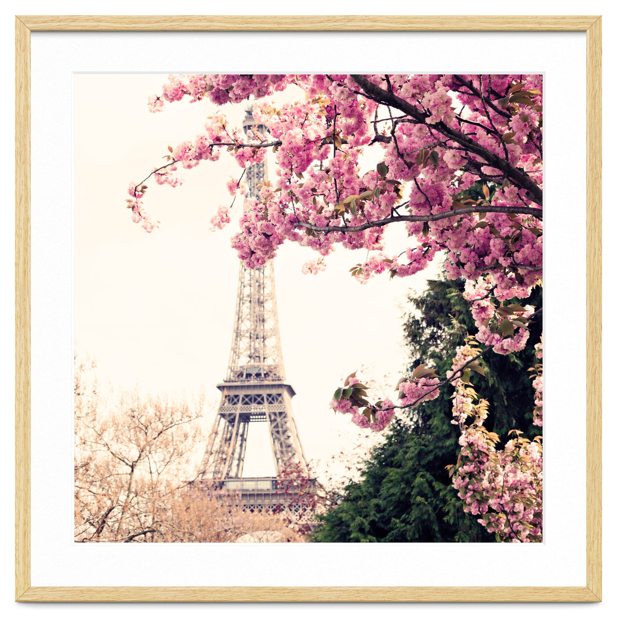 Paris in the Spring