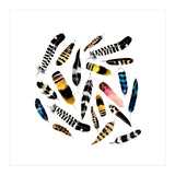 Feather Fusion  (Print Only) thumbnail