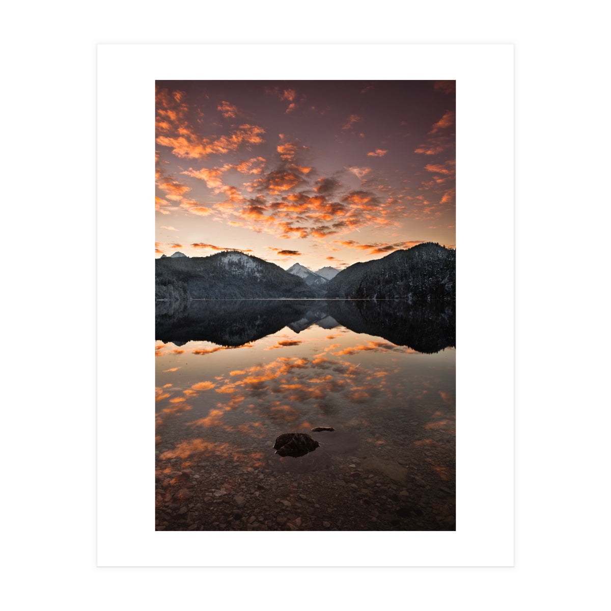 Magestic (Print Only)