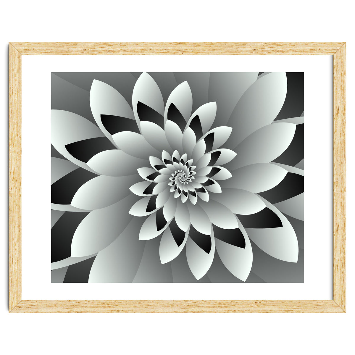 Black & White Floral